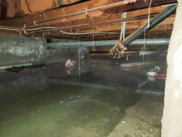 Best 24/7 water damage repair  in East Meadow, NY