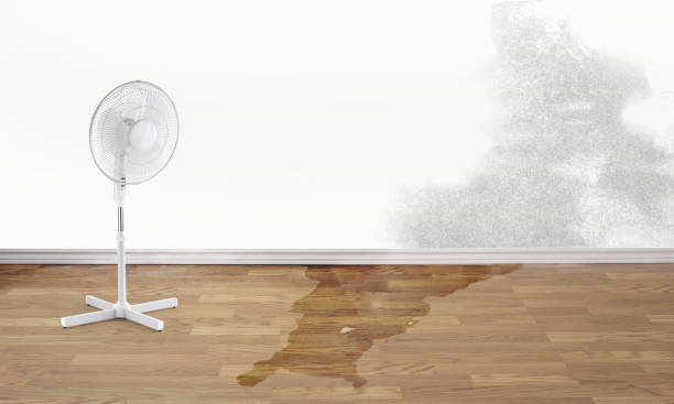 Best Flood restoration services  in East Meadow, NY
